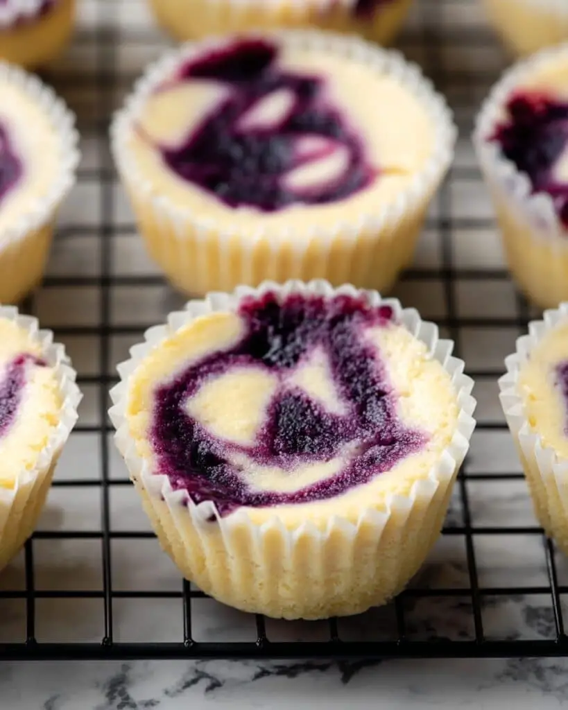 Mini Blueberry Cheesecakes Recipe