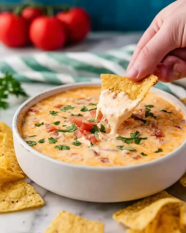 Velveeta Rotel Dip Recipe