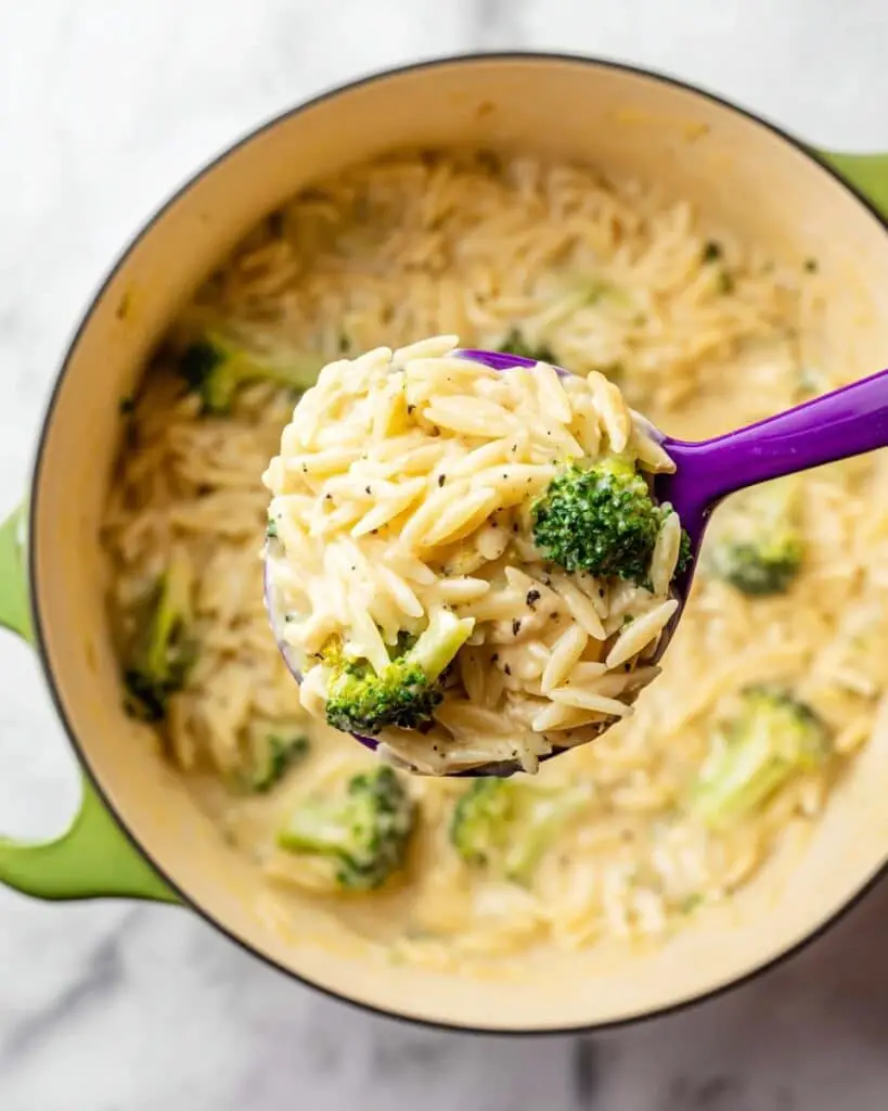 Cheesy Chicken Broccoli Orzo Recipe