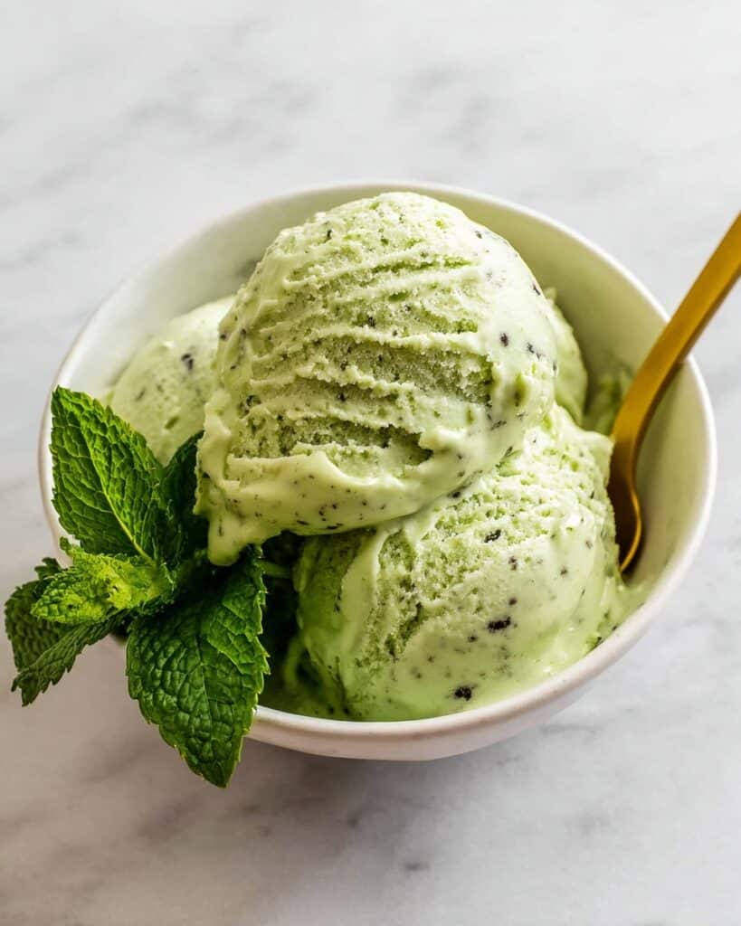 Kiwi Mint Sorbet Recipe