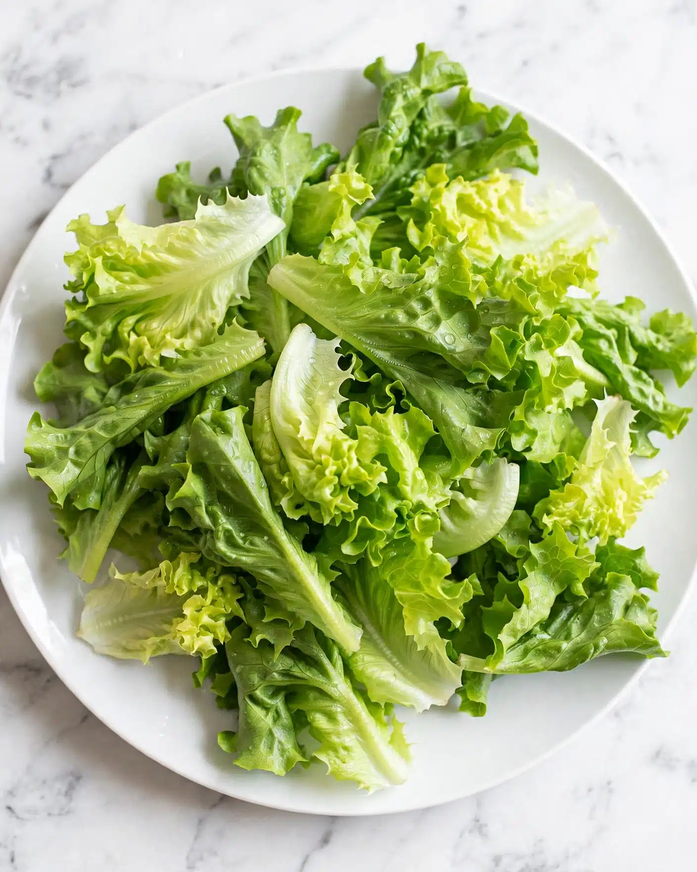 Easy Wakame Salad (Japanese Seaweed Salad) Recipe 4 A white plate filled with large, fresh green lettuce leaves arranged in a loose pile. The leaves vary in shades of green, from light yellow-green to deeper leafy green, with a crinkled and slightly shiny texture. The background is a white marbled surface, adding a clean and bright look to the overall image. photo taken with an iphone --ar 4:5 --v 7
